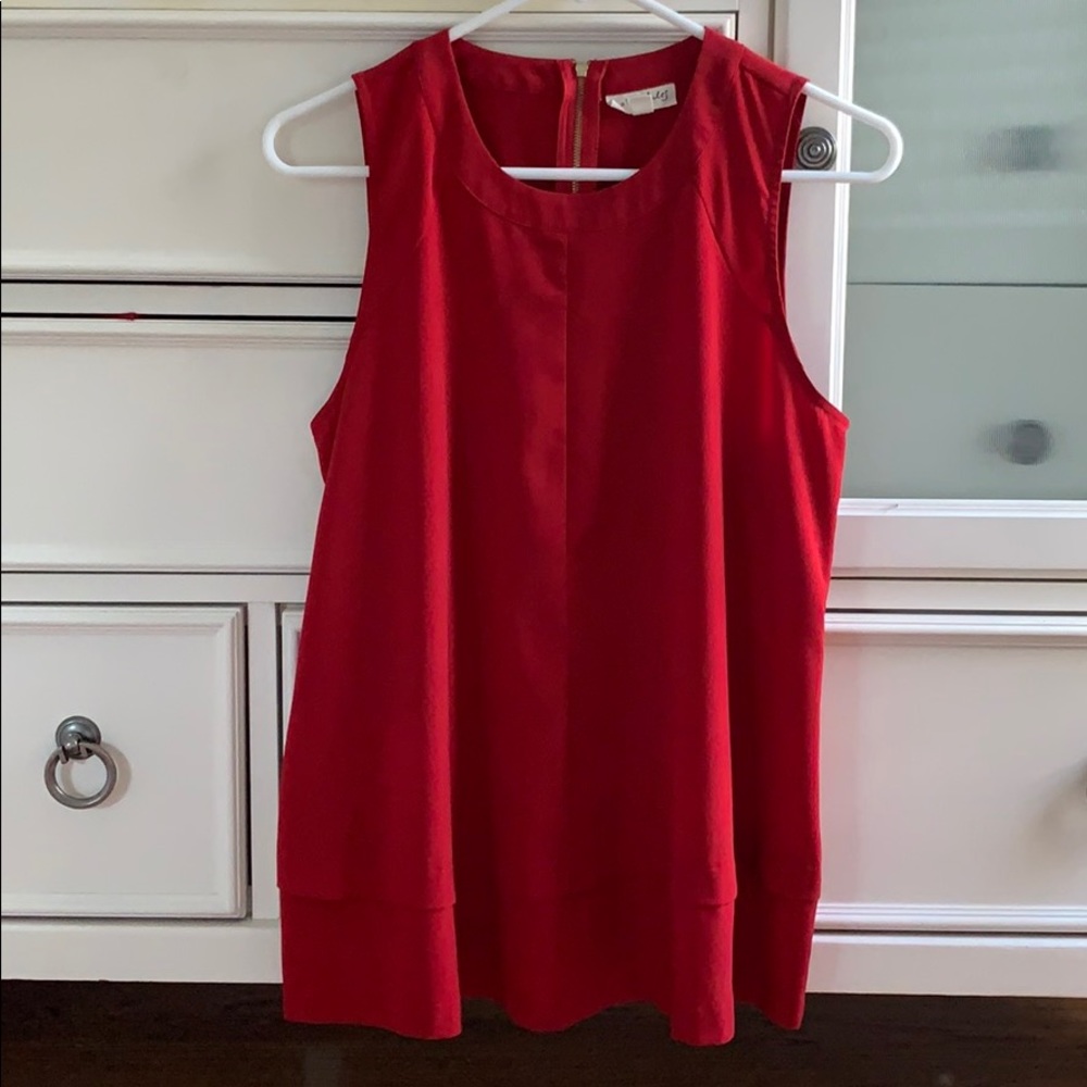 Red Blouse with golden zip detail on the back